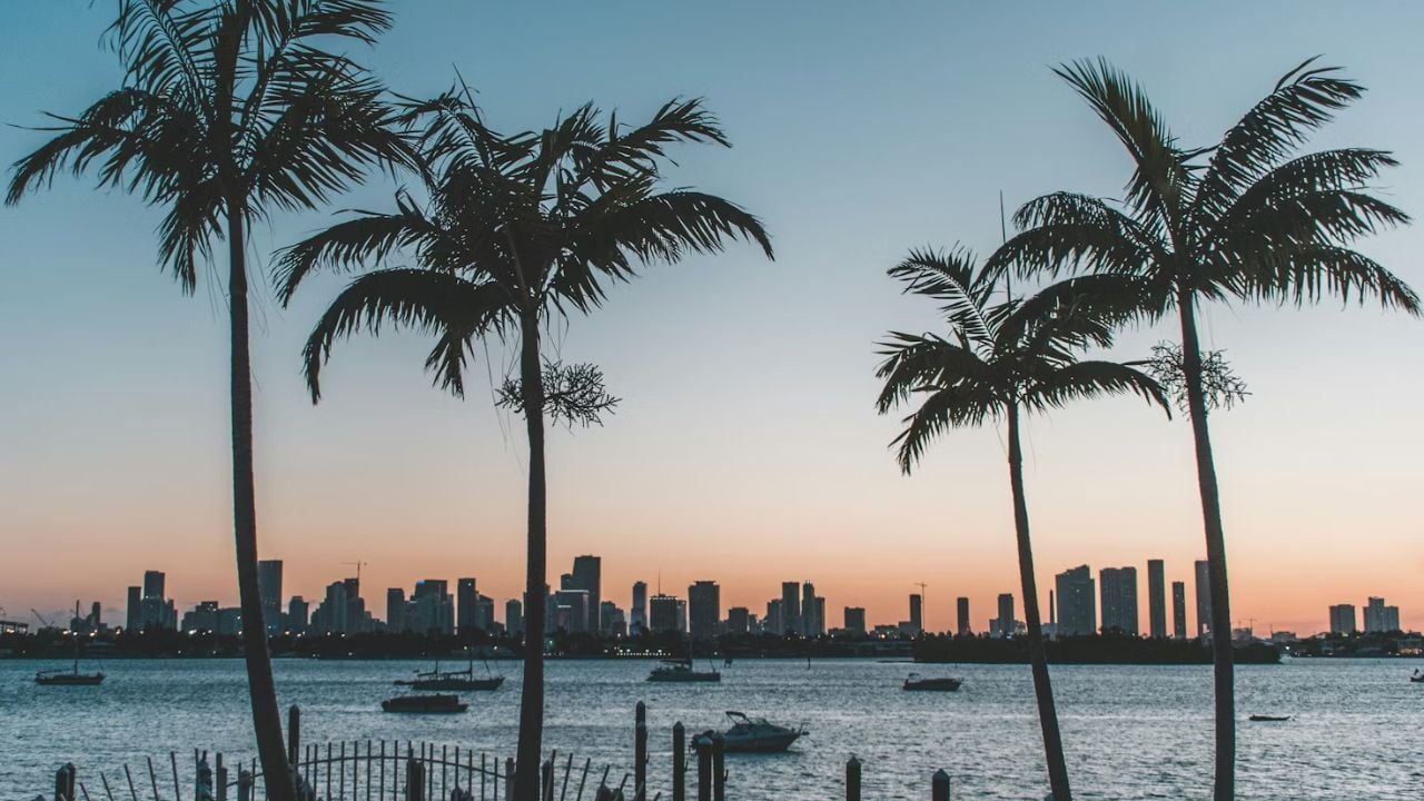 _Florida waterfront skyline at sunset with palm trees silhouetted.